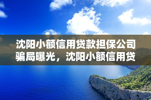 延边小额信用贷款担保公司骗局曝光，延边小额信用贷款担保公司骗局曝光视频