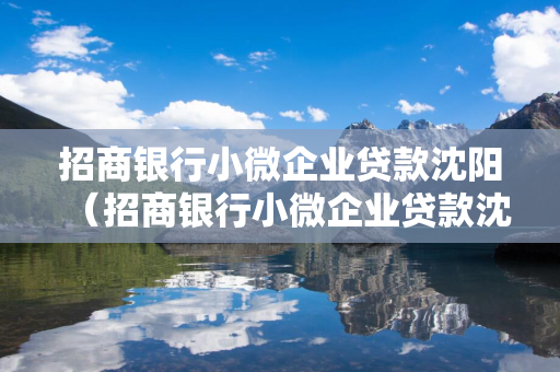 招商银行小微企业贷款延边（招商银行小微企业贷款延边能贷吗）