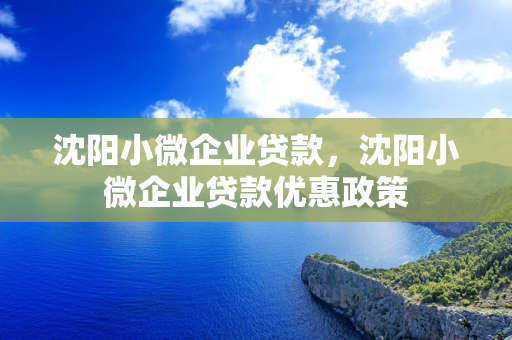 延边小微企业贷款，延边小微企业贷款优惠政策